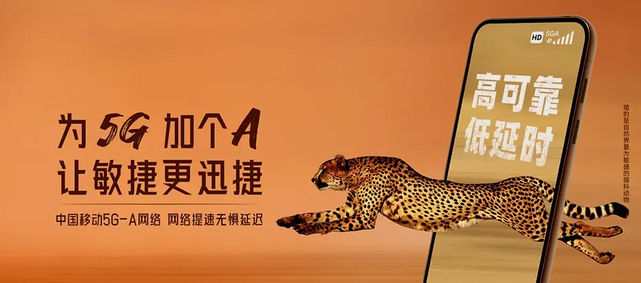 桃江县桃江县鲊埠回族乡 移动宽带