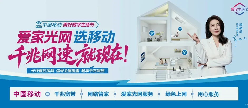 桃江县桃江县鲊埠回族乡 移动宽带